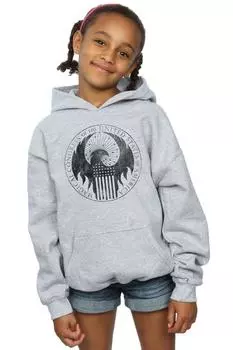 Толстовка с эффектом потертости «Магический конгресс» FANTASTIC BEASTS, серый