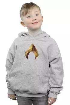 Толстовка с эмблемой Аквамена DC Comics, серый