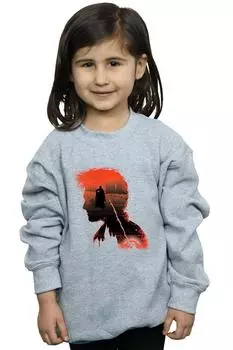 Толстовка с боевым силуэтом Harry Potter, серый