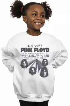 Толстовка с чехлом Pink Floyd, белый