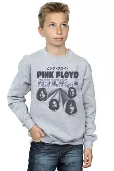 Толстовка с чехлом Pink Floyd, серый