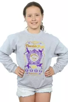 Толстовка с цветной этикеткой шоколадных лягушек Harry Potter, серый