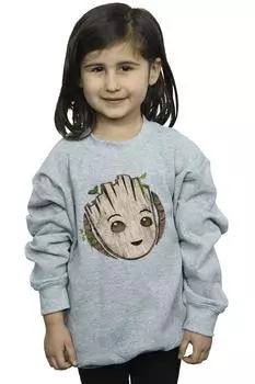 Толстовка с деревянной головой I Am Groot Marvel, серый