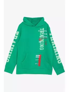 Толстовка с длинными рукавами и принтом для мальчиков Breeze, зеленый