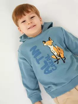 Толстовка с длинными рукавами и принтом для маленьких мальчиков LCW baby, сизый