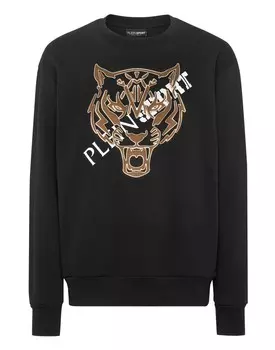 Толстовка с длинными рукавами Tiger Plein Sport, цвет Black / Gold