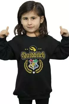 Толстовка с гербом для квиддича Harry Potter, черный