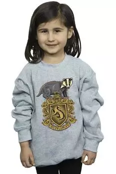 Толстовка с гербом Хаффлпаффа Harry Potter, серый