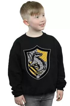 Толстовка с гербом Хаффлпаффа на плоской подошве Harry Potter, черный