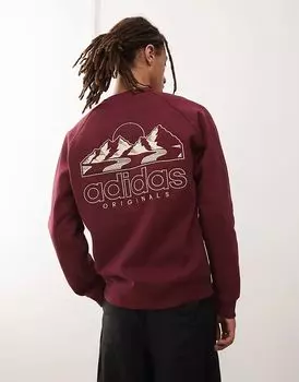 Толстовка с горным рисунком в бордовом цвете adidas Originals
