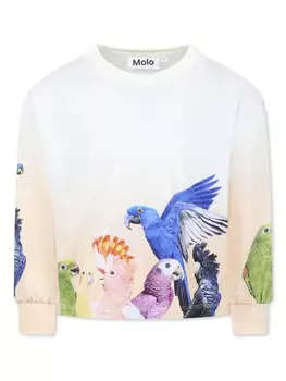 Толстовка с графическим принтом Molo, белый