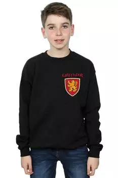 Толстовка с искусственным карманом «Гриффиндорский лев» Harry Potter, черный