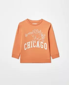 Толстовка с изображением динозавра Chicago Sfera, оранжевый