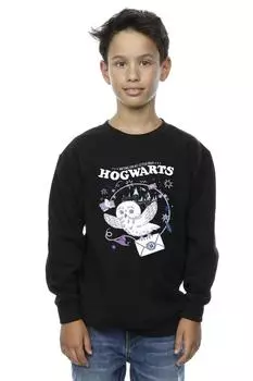 Толстовка с изображением совы «Письмо из Хогвартса» Harry Potter, черный