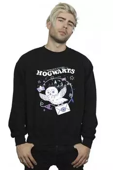 Толстовка с изображением совы «Письмо из Хогвартса» Harry Potter, серый