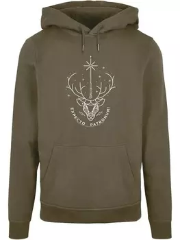 Толстовка с капюшоном Absolute Cult, оливковый