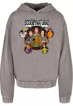 Толстовка с капюшоном ABSOLUTE CULT Sweatshirt Scooby - Natural Characters, графитовый