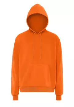 Толстовка с капюшоном ALEKO