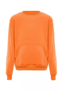 Толстовка с капюшоном ALEKO