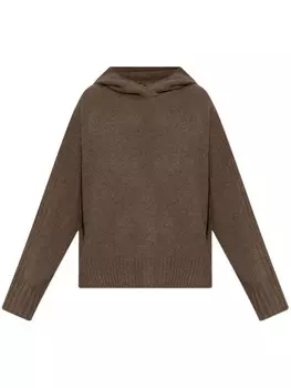 Толстовка с капюшоном AllSaints Ines, коричневый