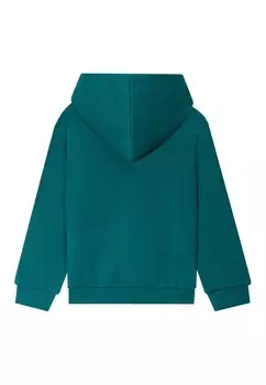 Толстовка с капюшоном AMERICAN INSPIRATION; FASHION; COOL Creeks, зеленый