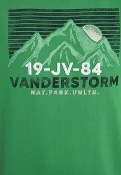 Толстовка с капюшоном ANJE Jan Vanderstorm, зеленый