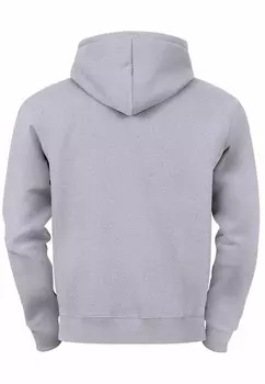 Толстовка с капюшоном AUFDRUCK POLYGON DESIGN BR BEAR TIERMOTIV OUTDOOR FASHION STREETSTYLE Neverless, серый