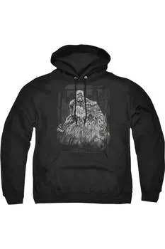 Толстовка с капюшоном Batman Pencilled Rain для взрослых Gildan, черный