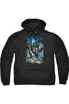 Толстовка с капюшоном Batman Stormy Dark Knight для взрослых Gildan, черный