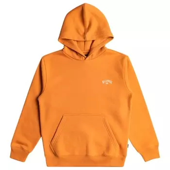Толстовка с капюшоном Billabong Kid's Arch Pullover, цвет Ochre