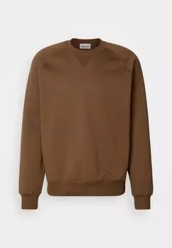 Толстовка с капюшоном CHASE Carhartt WIP, темно-коричневый