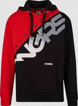 Толстовка с капюшоном Dangerous DNGRS Sweatshirt Proteles, разноцветный