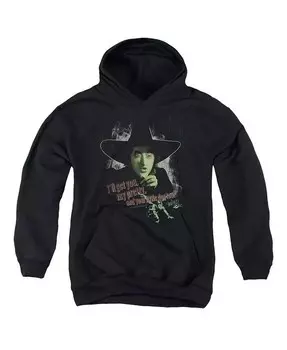 Толстовка с капюшоном для мальчиков и вашей собаки Wizard Of Oz, черный