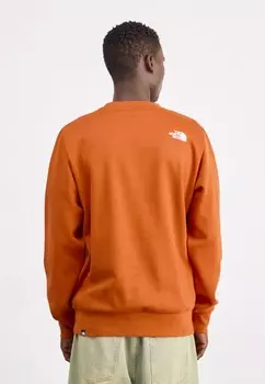 Толстовка с капюшоном EASY CREW The North Face, коричневый