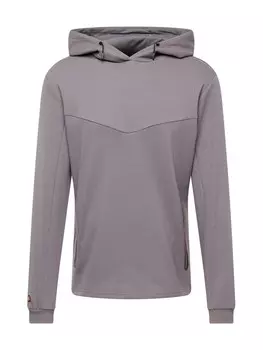 Толстовка с капюшоном ELLESSE Sweatshirt Diogo OH, цвет grey/light grey