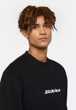 Толстовка с капюшоном ENTERPRISE Dickies, черный