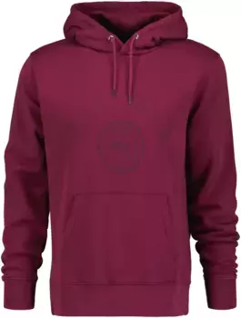Толстовка с капюшоном Gant "ХУДИ С ГРАФИКОЙ", цвет Pale Syren