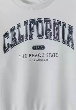 Толстовка с капюшоном GRAPHIC CREW NECK MINOTI, белый