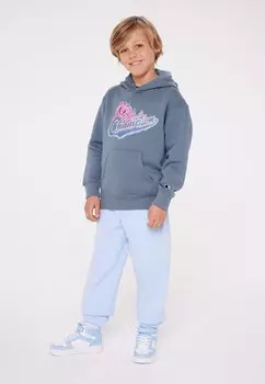 Толстовка с капюшоном Graphic Hooded Unisex Champion, цвет blue-grey
