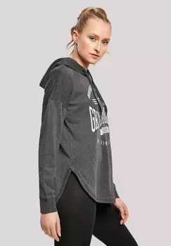 Толстовка с капюшоном HARRY POTTER GRYFFINDOR KEEPER F4NT4STIC, темно-серый