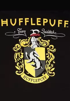 Толстовка с капюшоном HARRY POTTER PROPERTY OF HUFFLEPUFF Henry Tiger, черный