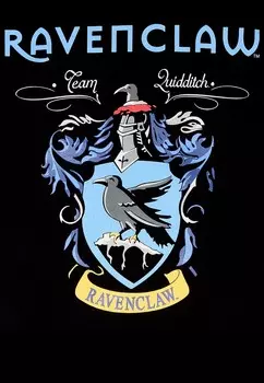 Толстовка с капюшоном HARRY POTTER PROPERTY OF RAVENCLAW Henry Tiger, черный