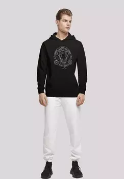 Толстовка с капюшоном HARRY POTTER SLYTHERIN SEAL F4NT4STIC, черный