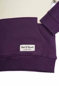 Толстовка с капюшоном HOODED 3C BLOCK Band of Rascals, разноцветный