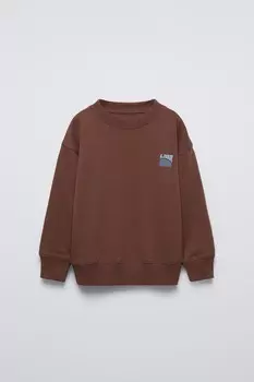 Толстовка с капюшоном и флокированным слоганом ZARA, коричневый