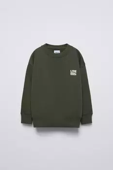 Толстовка с капюшоном и флокированным слоганом ZARA, зеленый