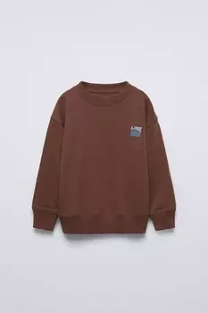 Толстовка с капюшоном и флокированным слоганом ZARA, коричневый