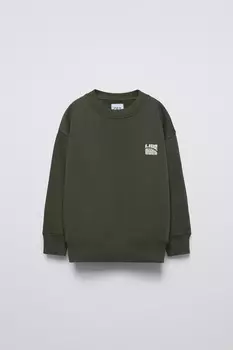 Толстовка с капюшоном и флокированным слоганом ZARA, зеленый