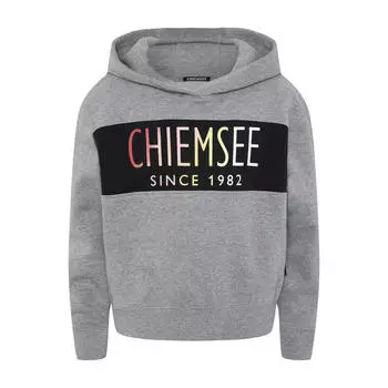 Толстовка Chiemsee с капюшоном и надписью на этикетке, серый