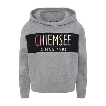Толстовка с капюшоном и принтом логотипа CHIEMSEE, цвет grau